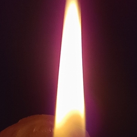 oguzhanerdem520