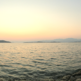 meraktanyaa