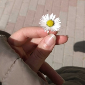 the_daisy_error