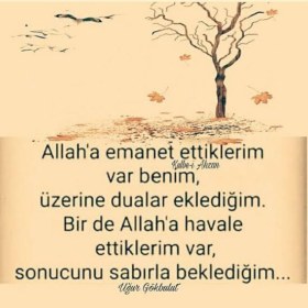 karmaşikolma