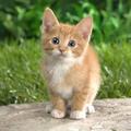 nilay_nilay