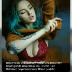 GizliZevk
