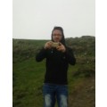 standogan