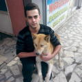 abraham07