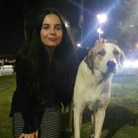 Pirinçsuyu