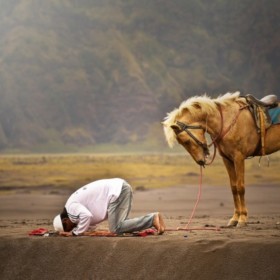 Herseyislamicin