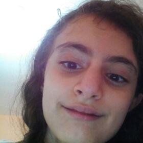 Medinesaysal
