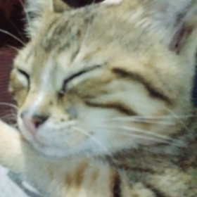 zeyyyp