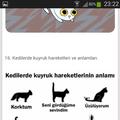 askkahvesi