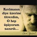 meraklı_hanım