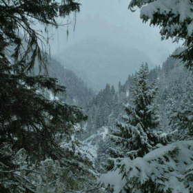 Hasan_0613