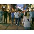 gri_baykuş