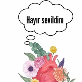 Alya8151