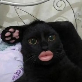 miwuzi