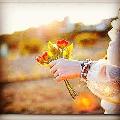 Bi_Careyi_Geda