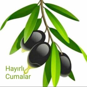 Alparslan50