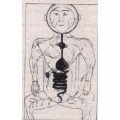 sinan12