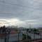 karakartal251334