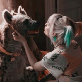 Harley_queen_bitches