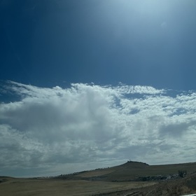 Kızçegillerden