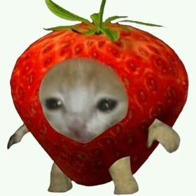 User_blink
