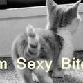 tinkerbellllll