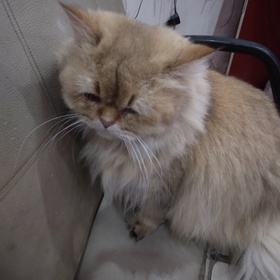 gizemli13_