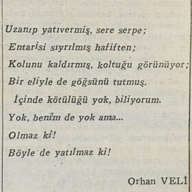 OkumayıSevenCahil
