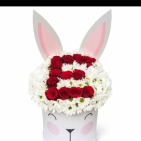 Emre8989