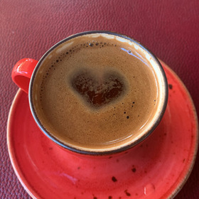Hazalakkuş