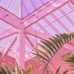 ragumy