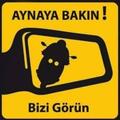 Gökkutbu
