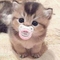 miyuw1kız