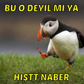 KastamonuluDilek