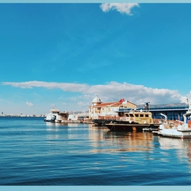 Mavi35papatya