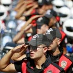 tarık3534