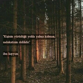 sakinimxm