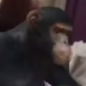teefhunter1453