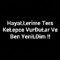 asq_1903