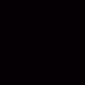nbrnbrnbr12121