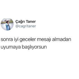 çilekseveriz