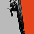 nyctophiliac9