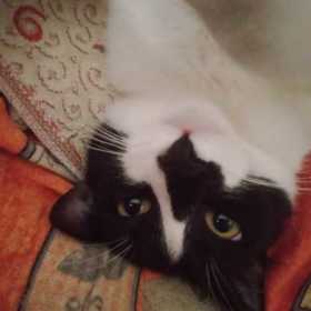 Sigun