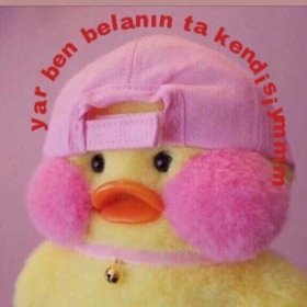 Nagdnxvnnv