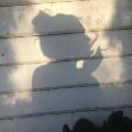 MysterioousGirll