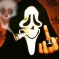 LegendSC7