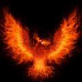 FireBird