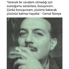 Mavisibirkadin