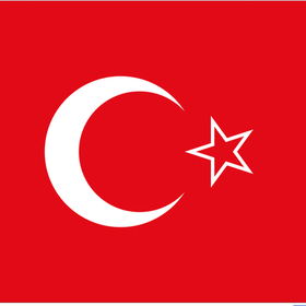 Bireysoglu31