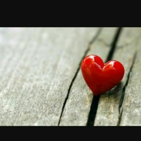SGlove